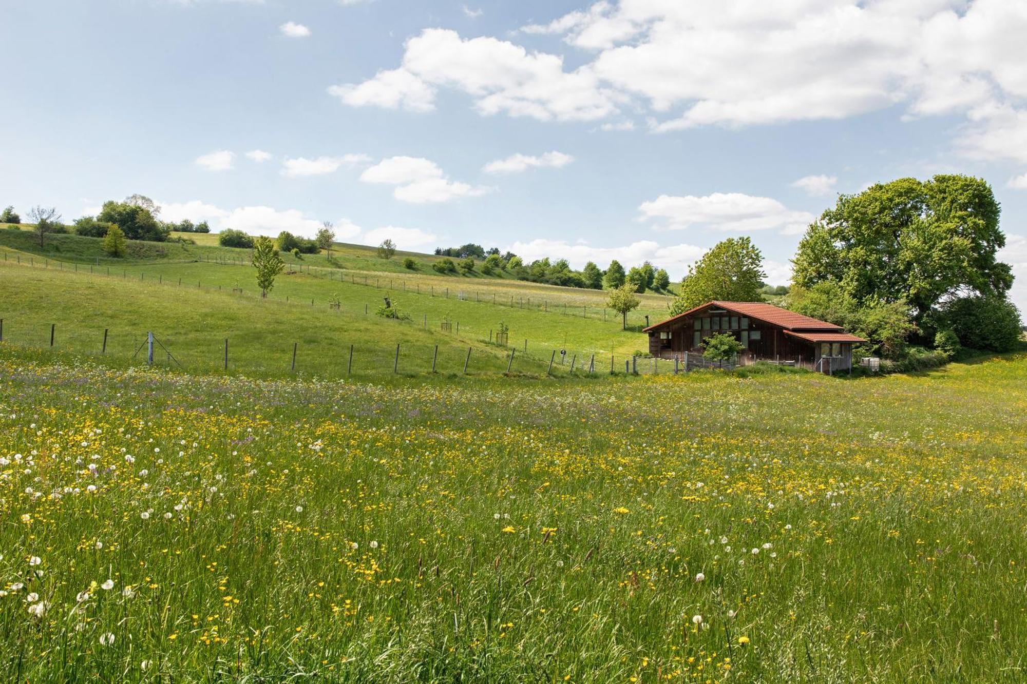Ferienwohnung Emilia, 36Qm Münsingen Exterior foto